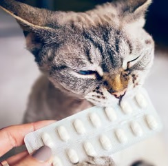 Complementi-e-integratori