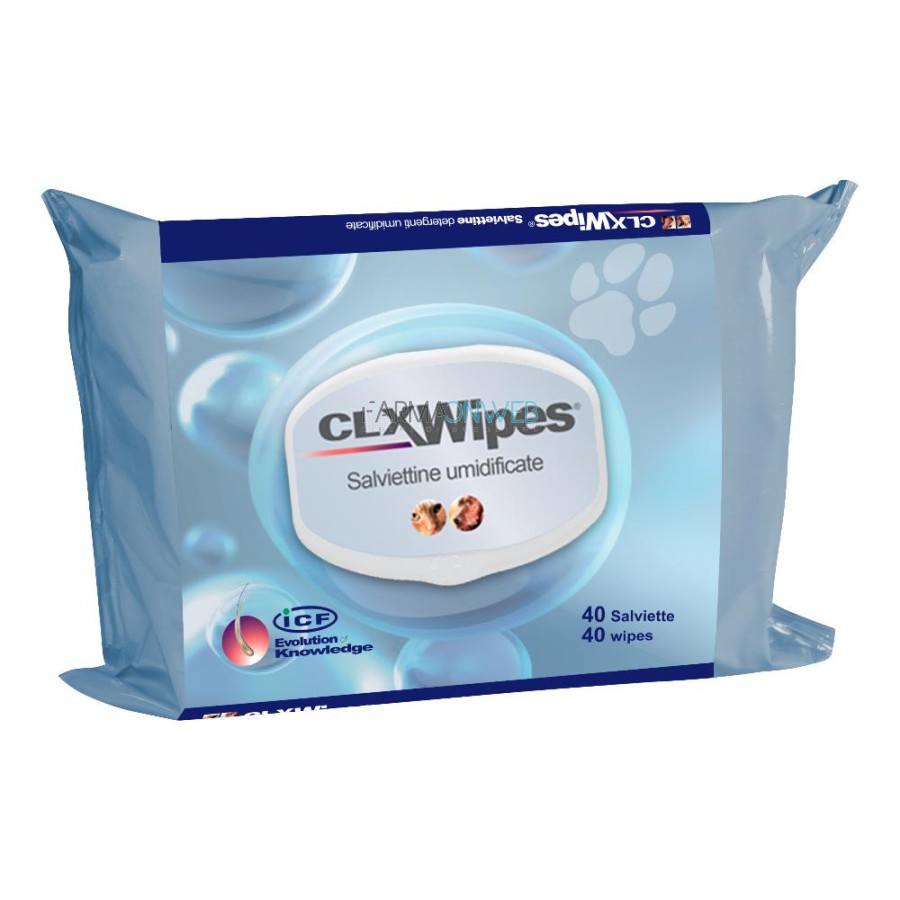 Clx Wipes 40 salviettine umidificate