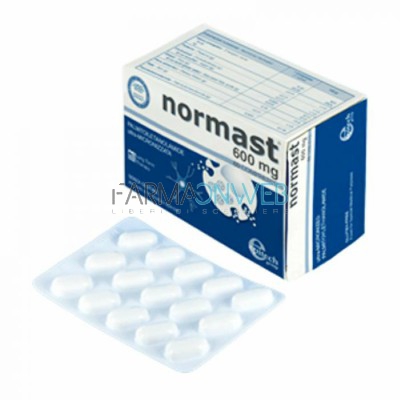 Epitech Normast 600 Integratore Alimentare 60 Compresse