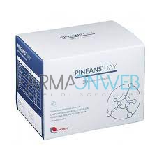 Pineans Day Integratore Alimentare 30 Buste