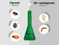 Frontline Combo Spot On per Cani oltre 40 kg 3 Pipette 4 02 ml