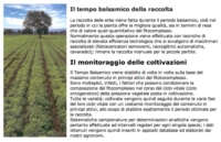 Aboca Finocchio Dolce Tisana 20 filtri