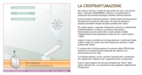 Arkocapsule Aglio Integratore Alimentare 45 Capsule